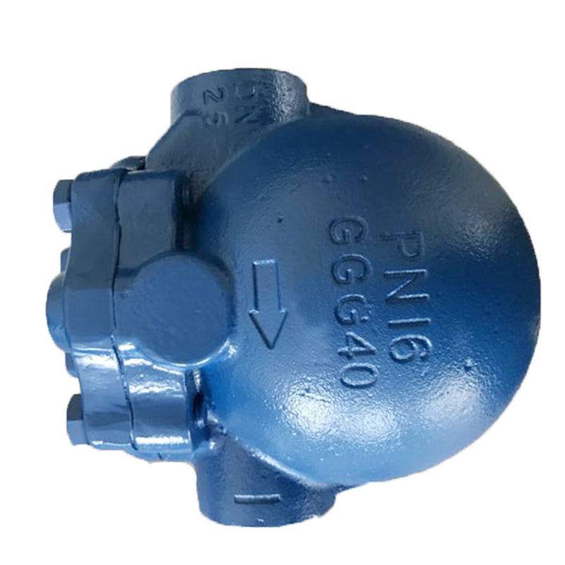 Sanitary Steam traps